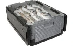 Boîte Isolante Pliable 39 Litres Overath Flip Box BIG 7 Boîte Isolante Pliable 39 Litres Overath Flip Box BIG -Cuisine Extérieure Boutique 120016 2250319