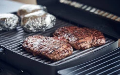 Enders Urban Pro Barbecue à Gaz 50 Mbar -Cuisine Extérieure Boutique 269625 2258033