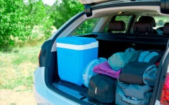 Campingaz Icetime Plus Glacière 30 Litres 13 Campingaz Icetime Plus Glacière 30 Litres -Cuisine Extérieure Boutique 416100 3019634