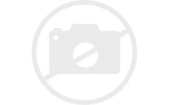 Anneau Reich Pour Tube De Sortie (Trend S)